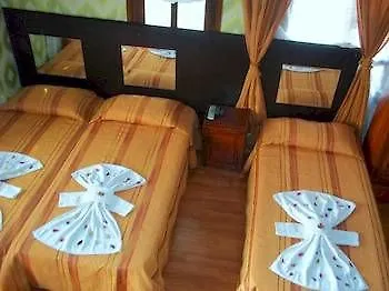 Alis Fethiye