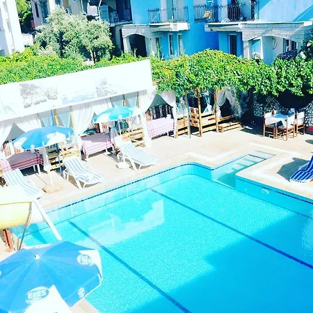 Hotel Alis